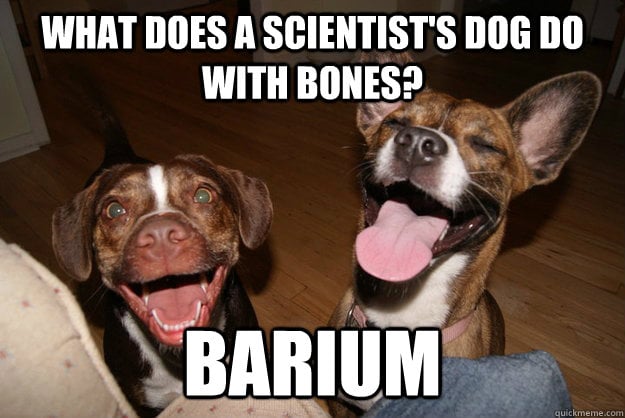 science dog joke