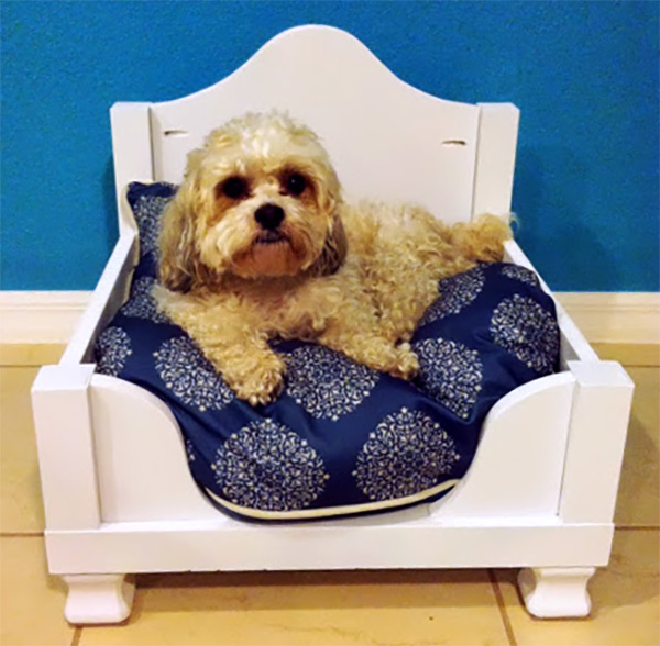 IKEA HACK DOG BED lack table