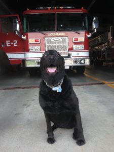 Smokey via Jacksonville Fire Department