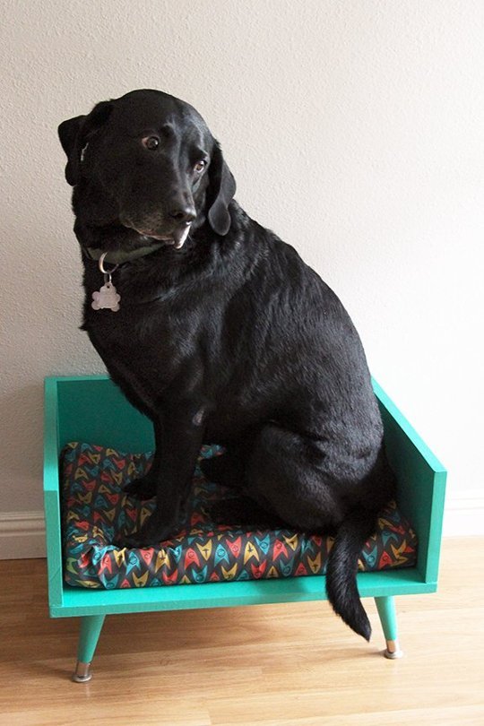 mid-century-dog-bed-apartment-therapy