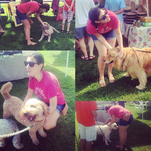 where can i adopt a puppy 10 signs you re ready to adopt a rover where can i adopt a puppy 10 signs you re ready to adopt a rover