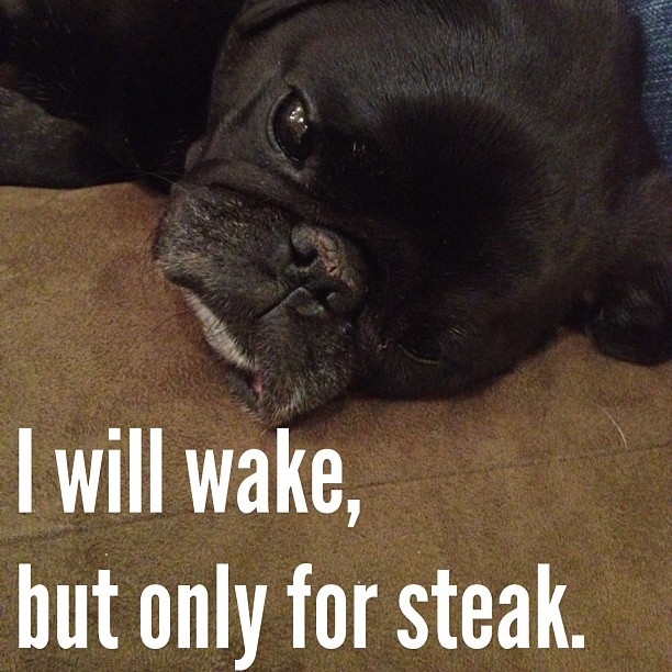 hamilton pug wake and steak