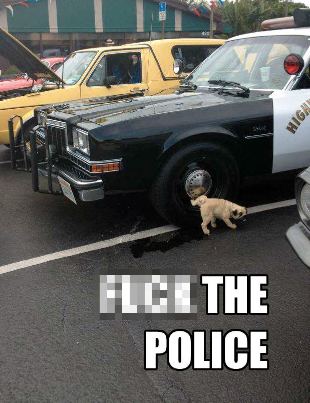 pug life cops