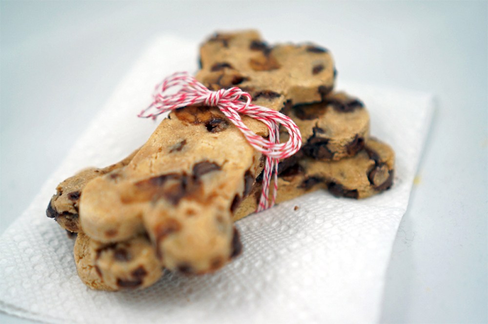 12 DogFriendly Christmas Cookies Perfect for Pups The 12 DogFriendly Christmas Cookies Perfect for Pups The