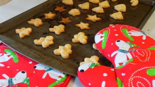 12 Dog-Friendly Christmas Cookies Perfect for Pups | The Dog People by