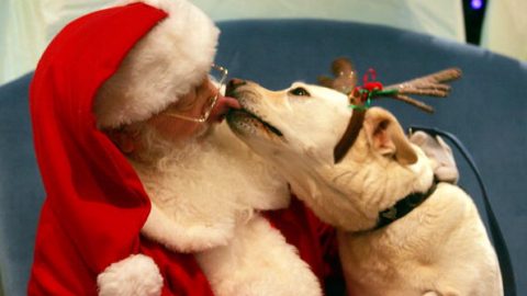 Santa Kisses