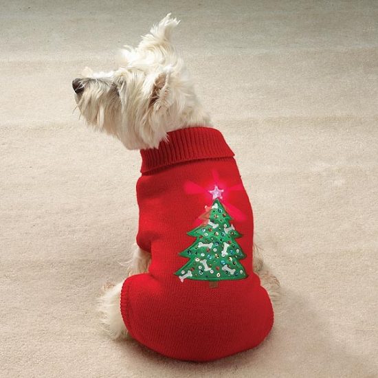 8 Ridiculous Holiday Sweaters Your Dog Needs Right Now The Dog People