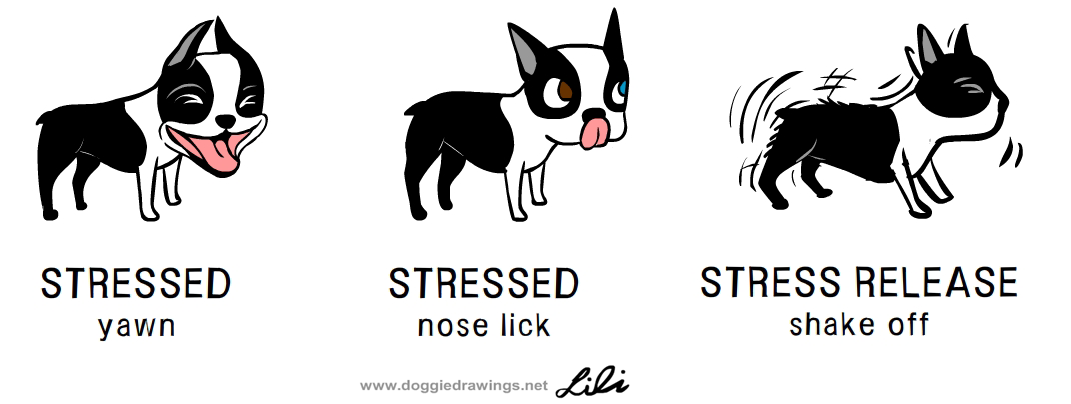 stressed-dog