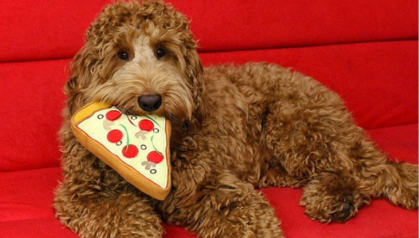 toy-pizza-3_grande
