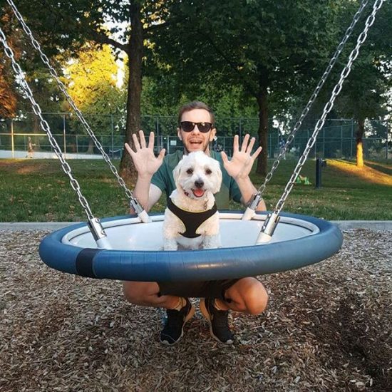 18 Dogs on Swings to Make Your Day The Dog People by