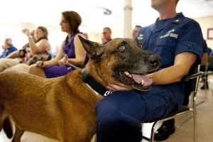 working-coast-guard