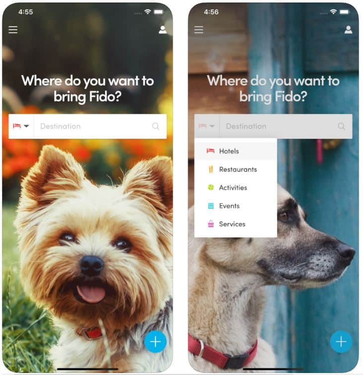 Best Apps For Training Dogs at Pamela Jones blog