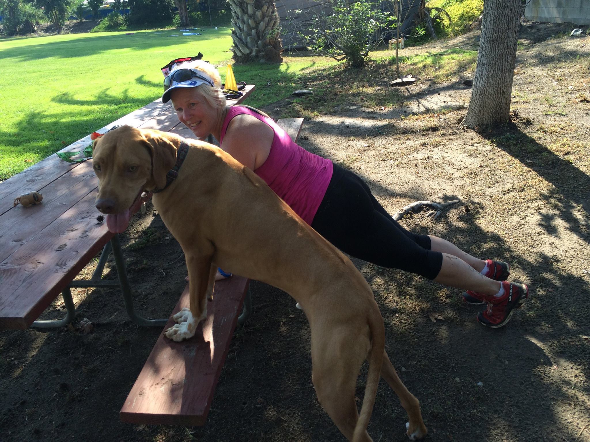 guide to getting a dog