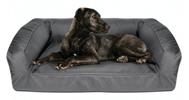6 Indestructible Dog Beds for Chew tastic Dogs 6 Indestructible Dog Beds for Chew tastic Dogs