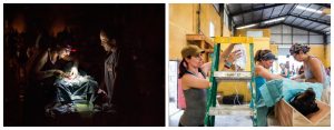 CANDi collage