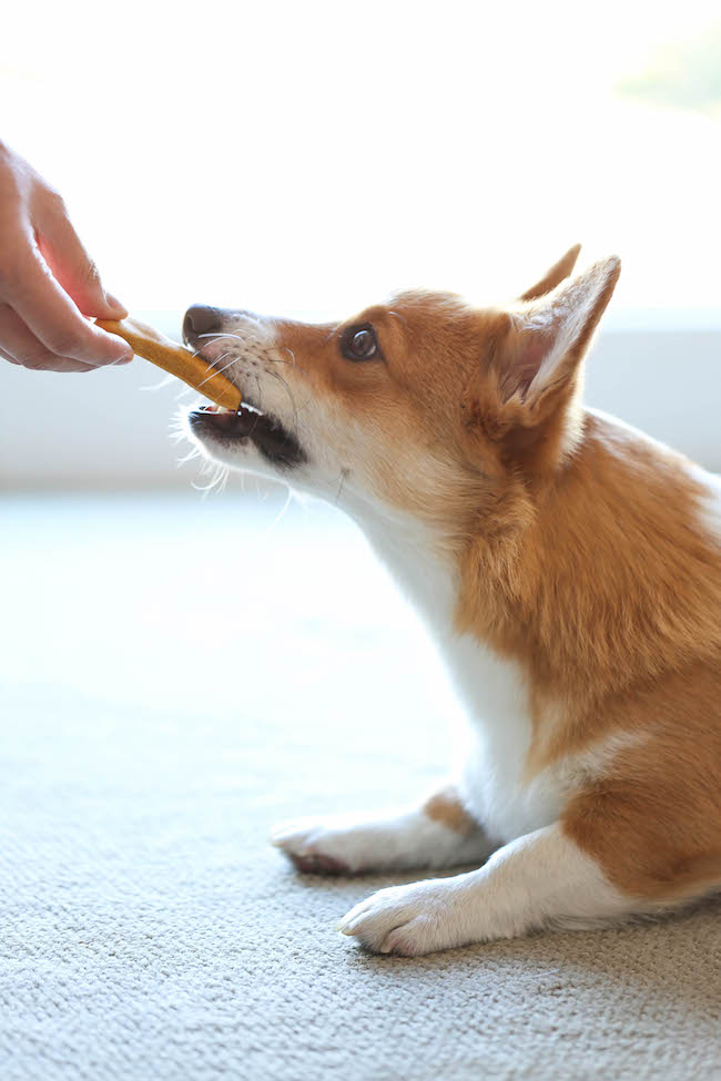 http://damndelicious.net/2015/01/07/homemade-peanut-butter-dog-treats/