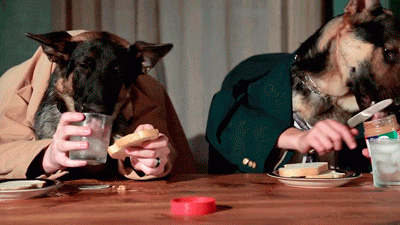 Homemade Peanut Butter Dog Treats: 6 Strange but Delicious Picks