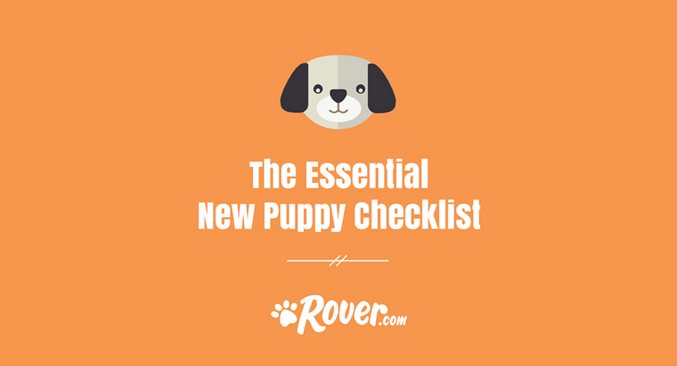the essential new puppy checklist the dog people by rover com
