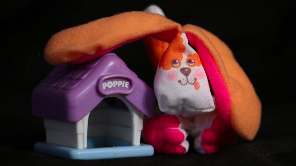 Polly Pocket: Pet Adoption Party Time