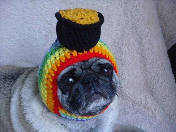 sweet hoots etsy dog rainbow pot of gold hat pug