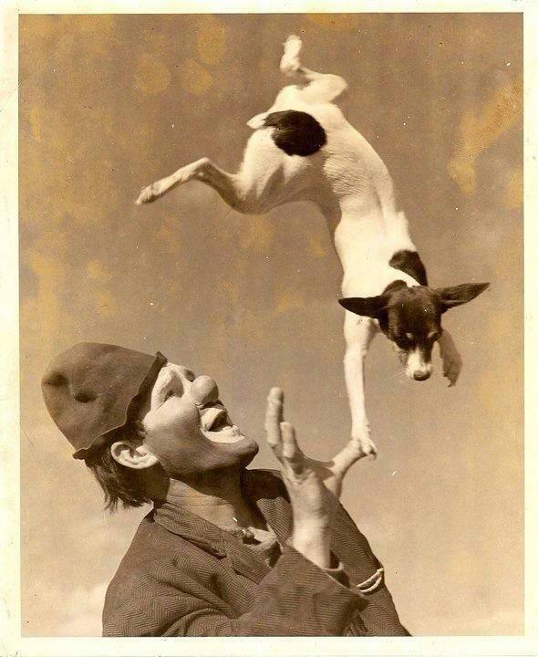vintage circus dog clown thumb balance