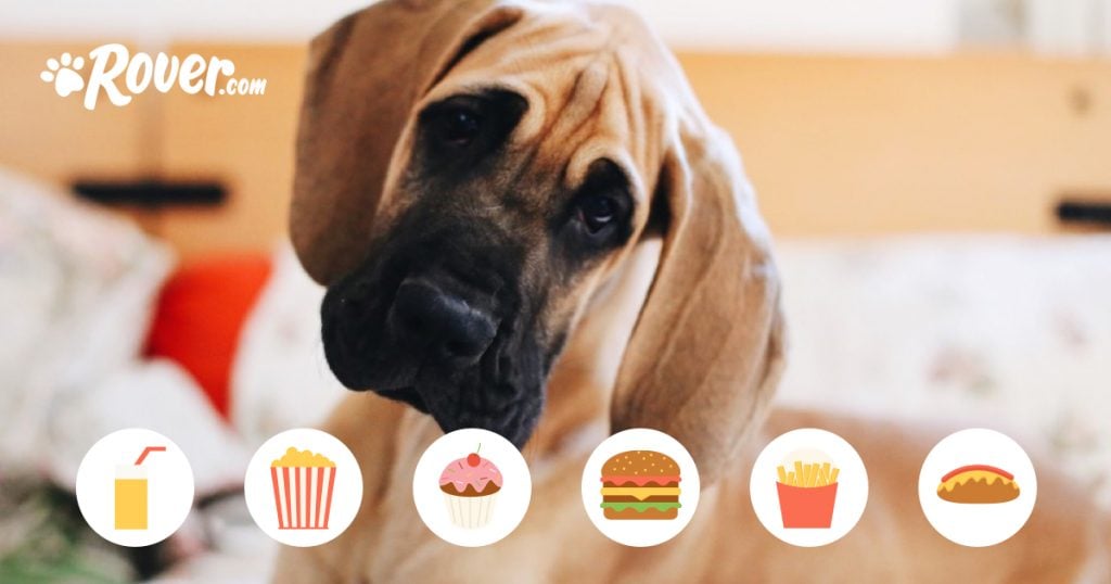 The Most Popular Food Inspired Dog Names