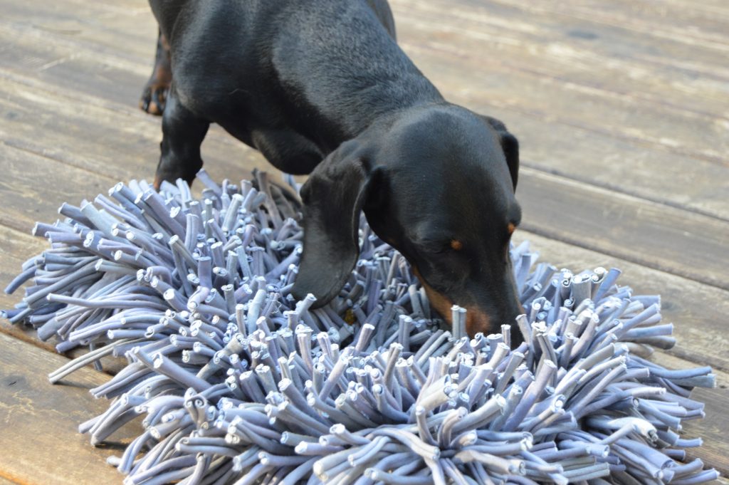 puzzle mat for dogs