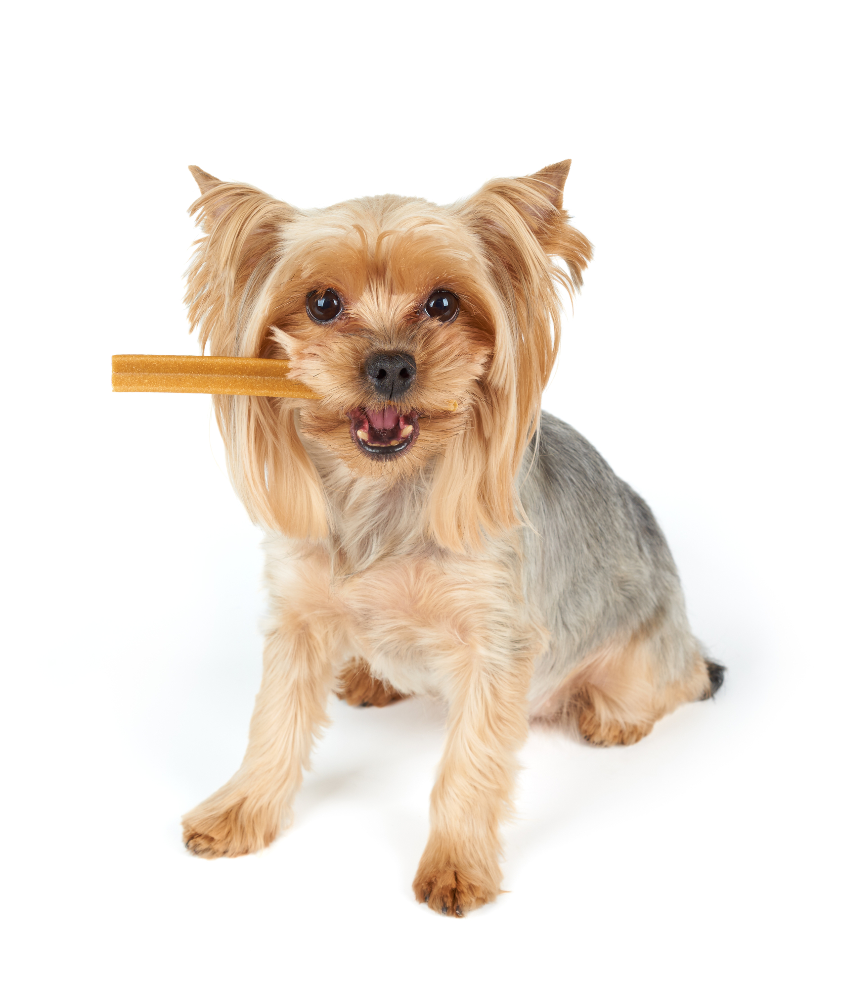 safe dog chews for teeth