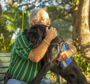 Therapy and service dogs work wonders for their humans, but it's a long road to get them properly trained and socialized, which is where volunteers help.