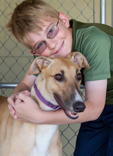 greyhound with boy
