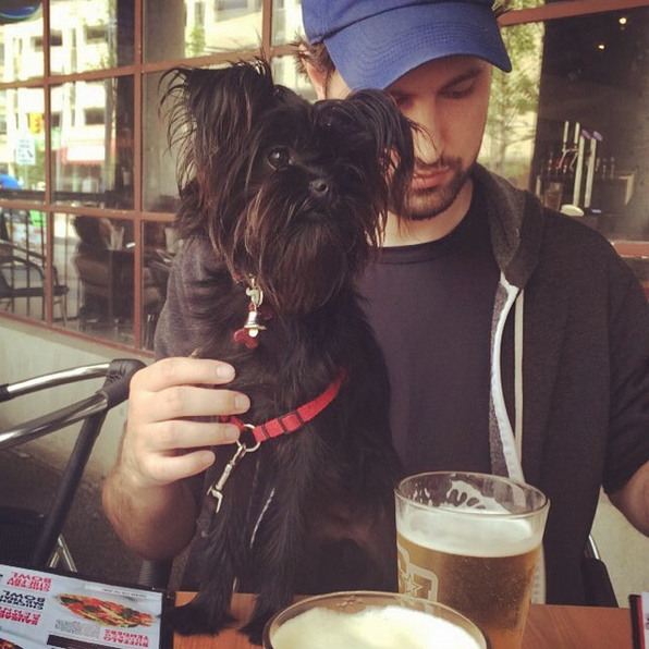 restaurants-affenpinscher