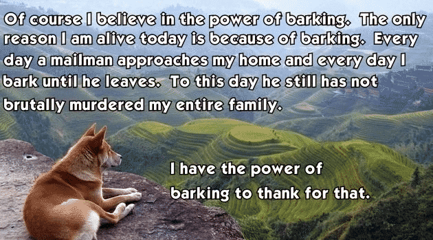 the power of barking