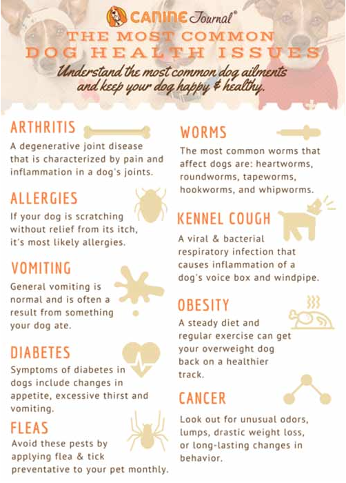 common dog health issues