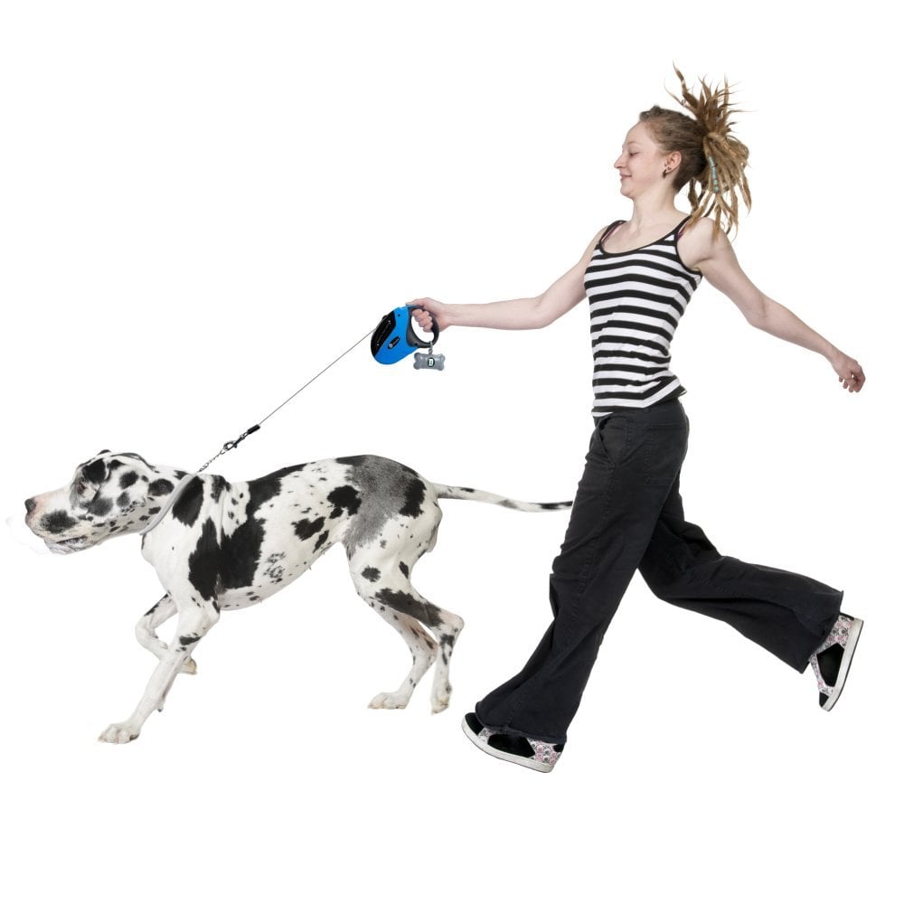 how to your to be leash a guide to buying the best leash rover how to your to be leash a guide to buying the best leash rover