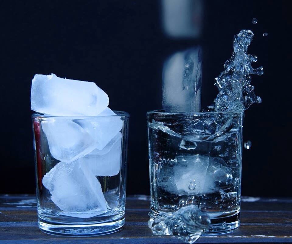 Why Do Dogs Like Ice Cubes? | The Dog People by Rover.com