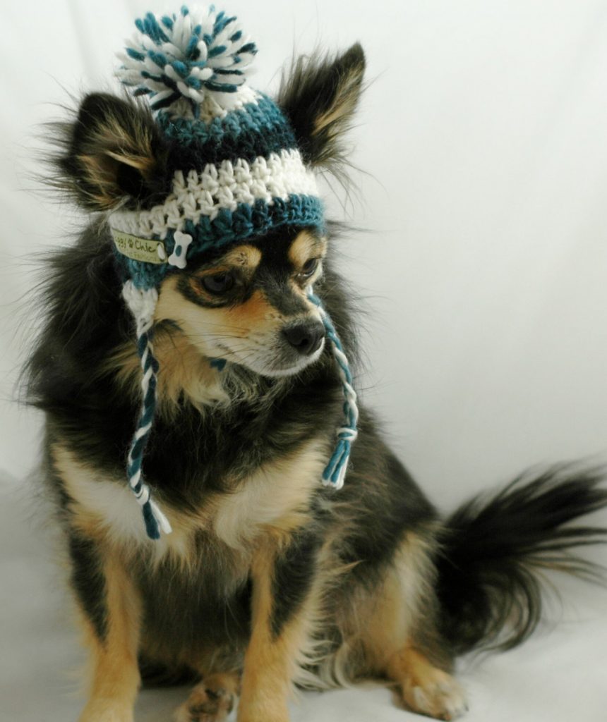 12 Absurdly Cool Dog Accessories You Deserve to Own The Dog People by
