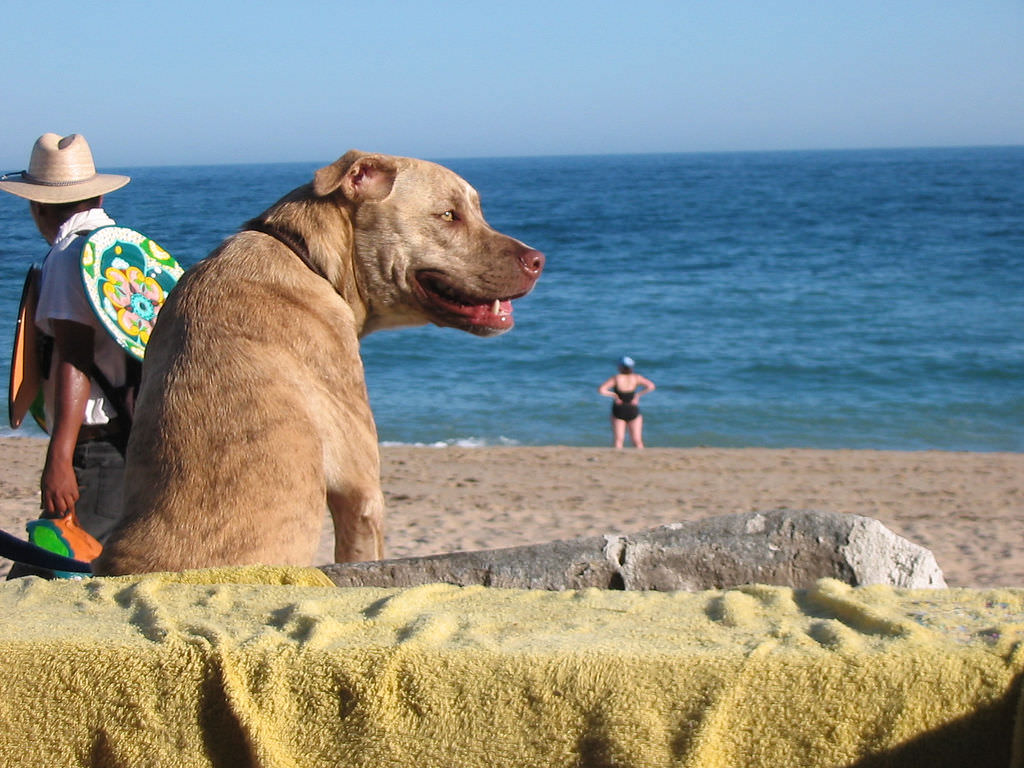 billy unger dating history