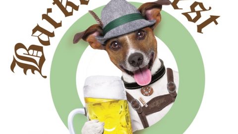 dog events in dc beer fest