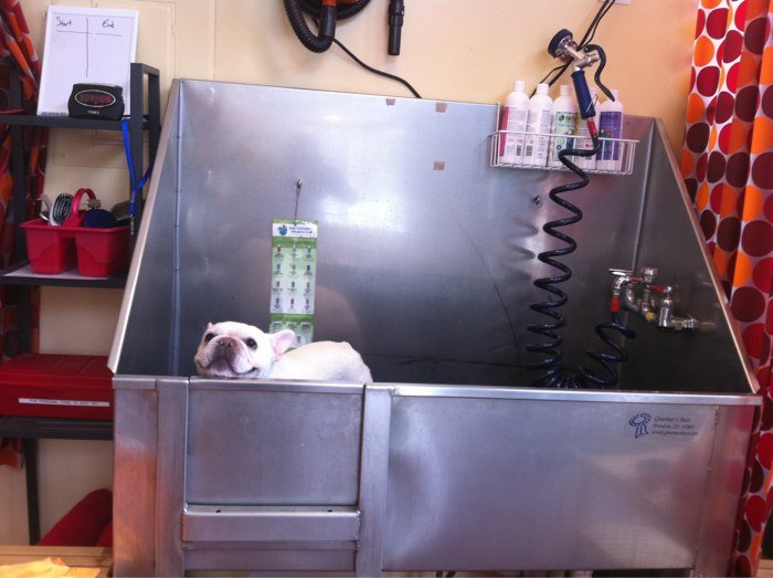 via yelp.com