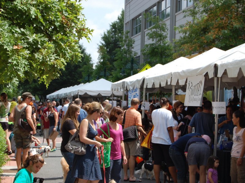 dc-events-Wags-N’-Whiskers-Event
