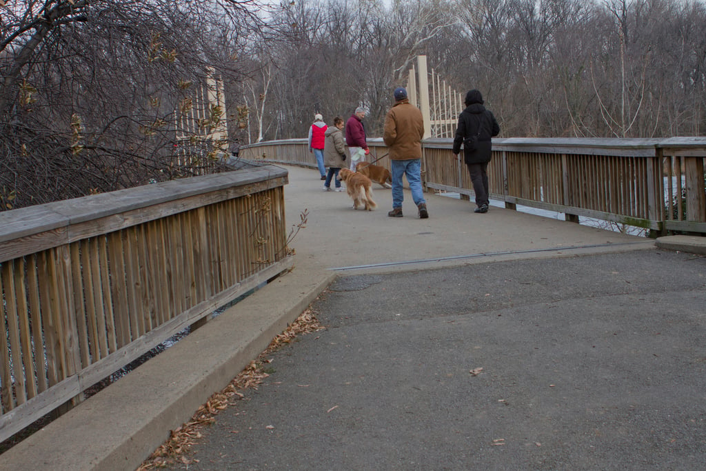 7 Top Dog-Friendly Hikes near Washington DC: Where to Take ...