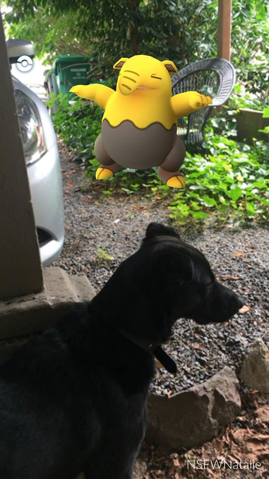 drowzee pokemon go dog