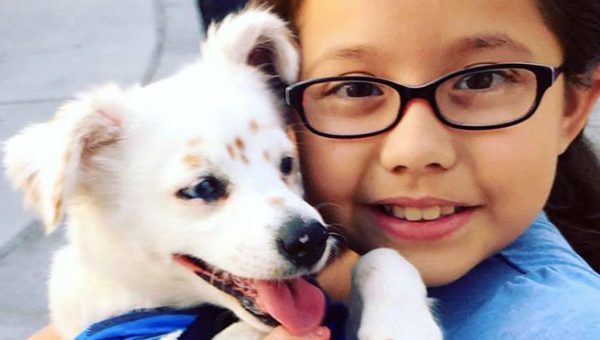 Can A Uti Cause Seizures In Dogs Can A Uti Cause Seizures In Dogs