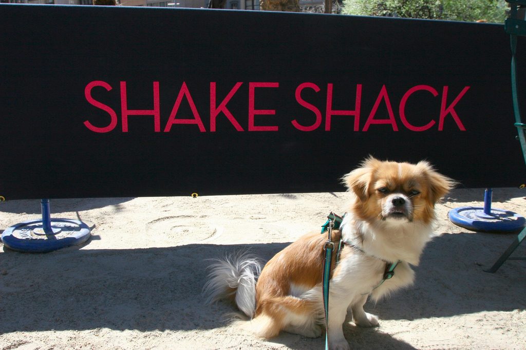 nyc-shake-shack