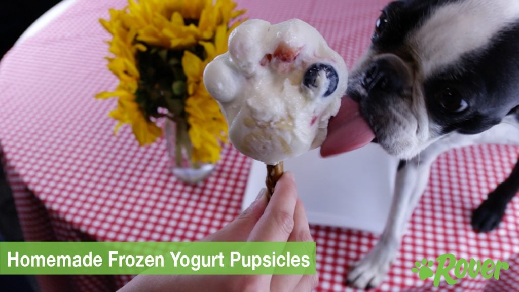 frozen yogurt treats for dogs