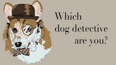 which dog detective are you quiz