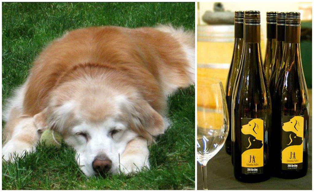 The winery's name was inspired by the owners' two dogs, Jake and Annie. Photos via J & A Winery.