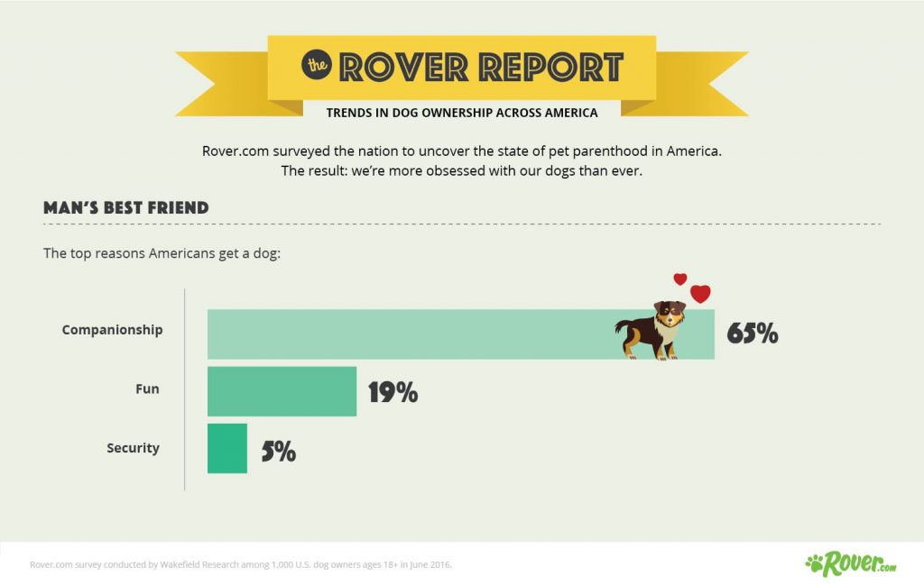 Rover_Report_Info_2