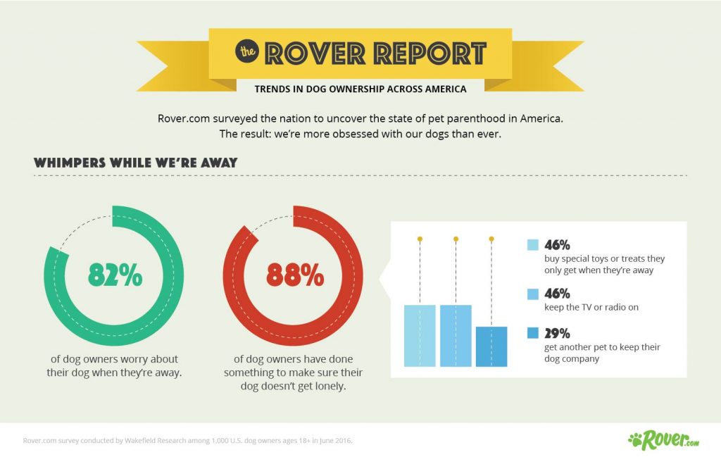 Rover_Report_Info_5