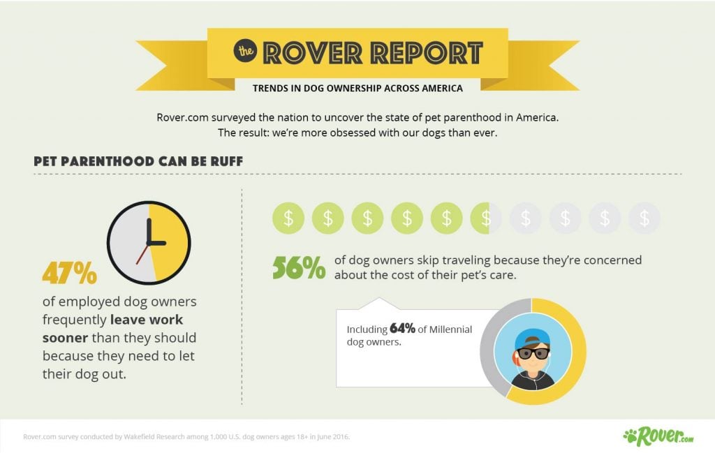 Rover_Report_Info_6